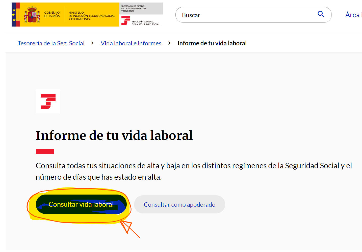 Vida Laboral 2